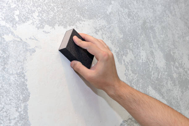 Best Post-Construction Mold Inspection  in Attica, MI