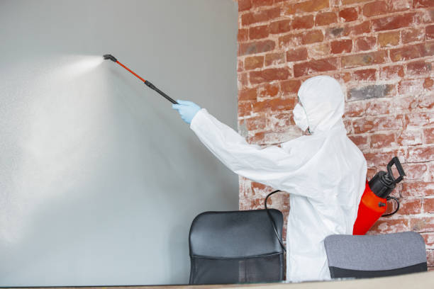 Best HVAC Mold Inspection and Cleaning  in Attica, MI