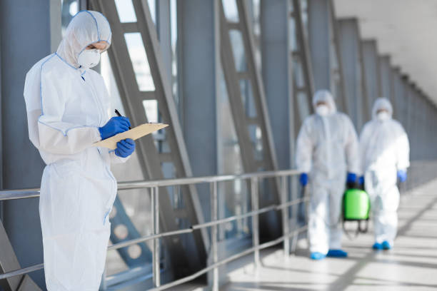 Mold Documentation for Insurance Claims in Attica, MI