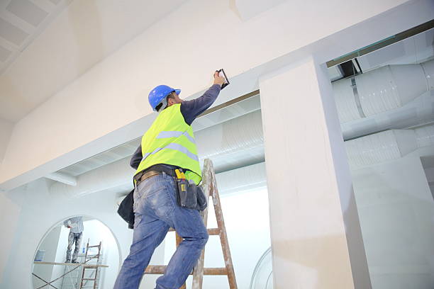 Best Commercial Mold Inspection  in Attica, MI