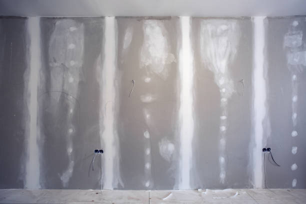 Best Emergency Mold Remediation  in Attica, MI